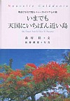いまでも天国にいちばん近い島　物語と写真で甦るニューカレドニア心の旅