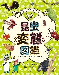 生きかたイロイロ！昆虫変態図鑑